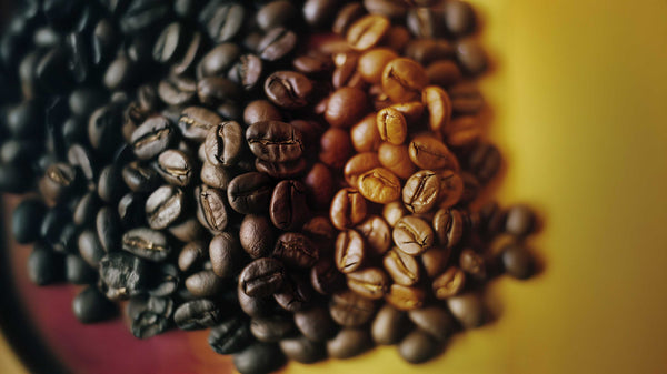 Organic Guatemalan Light-Medium Roast